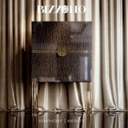 Концепция  дизайна Bizzotto  в 2016 году